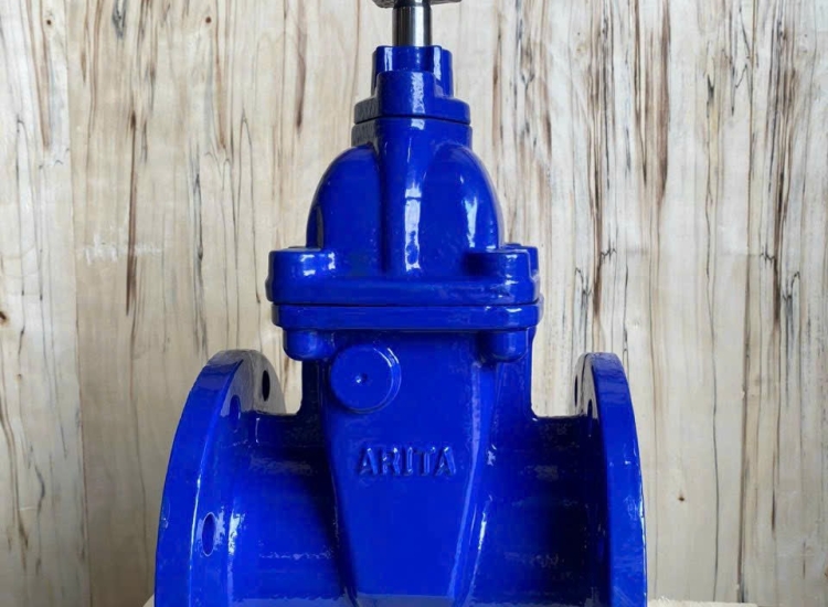 VAN CỔNG TY CHÌM NẮP CHỤP ARITA | MALAYSIA | PN16/ARITA-DI-RESILIENT-SEATED-GATE-VALVE-PN16-DIG-NR-PN16-CAP-TOP